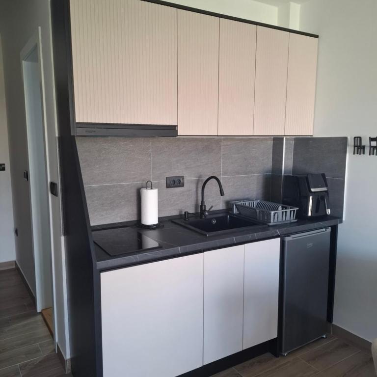 Apartman Pobednik - Residence Hill Kopaonik - One-Bedroom Apartment - 15