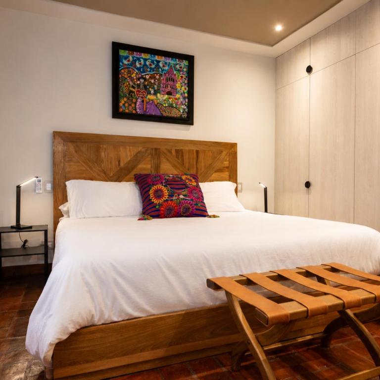 Paseo del Centro I Boutique Condos I Centro Histórico - Suite Junior con vistas al jardín - 1