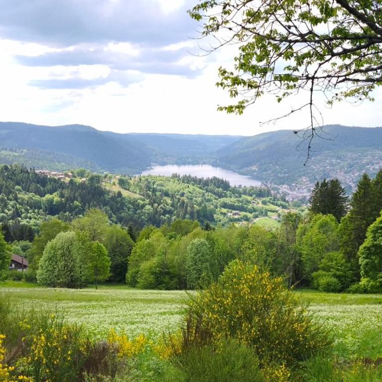 Evasion Gérardmer - Appartement 1 Chambre - 3