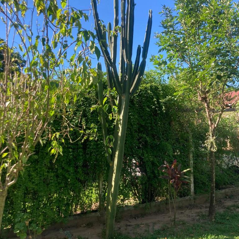 Cactus I - Cabaña con pileta - Casa de 2 dormitorios - 10