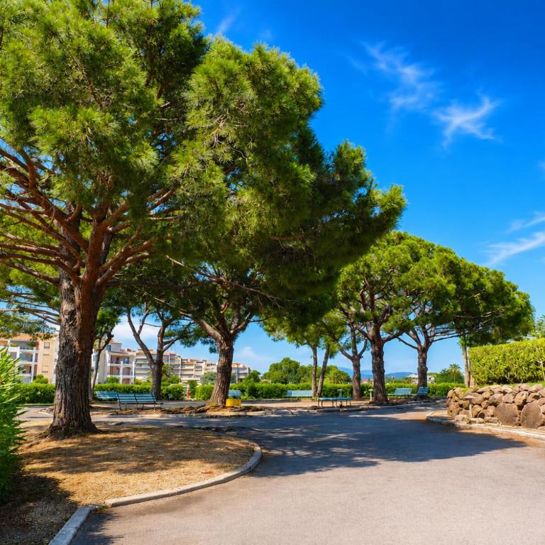 Ginkgo Studio - piscine, proche de la mer, Golf, WIFI - Monolocale con Vista Montagna - 11