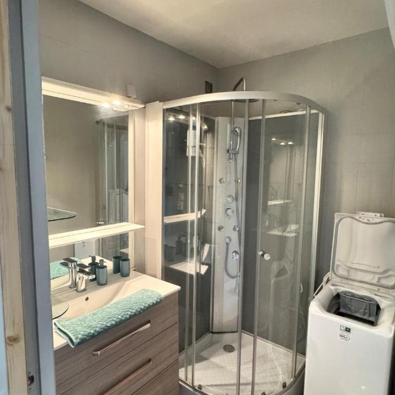 Le Cocon du Port, pool, parking space - Apartamento de 1 dormitorio - 11