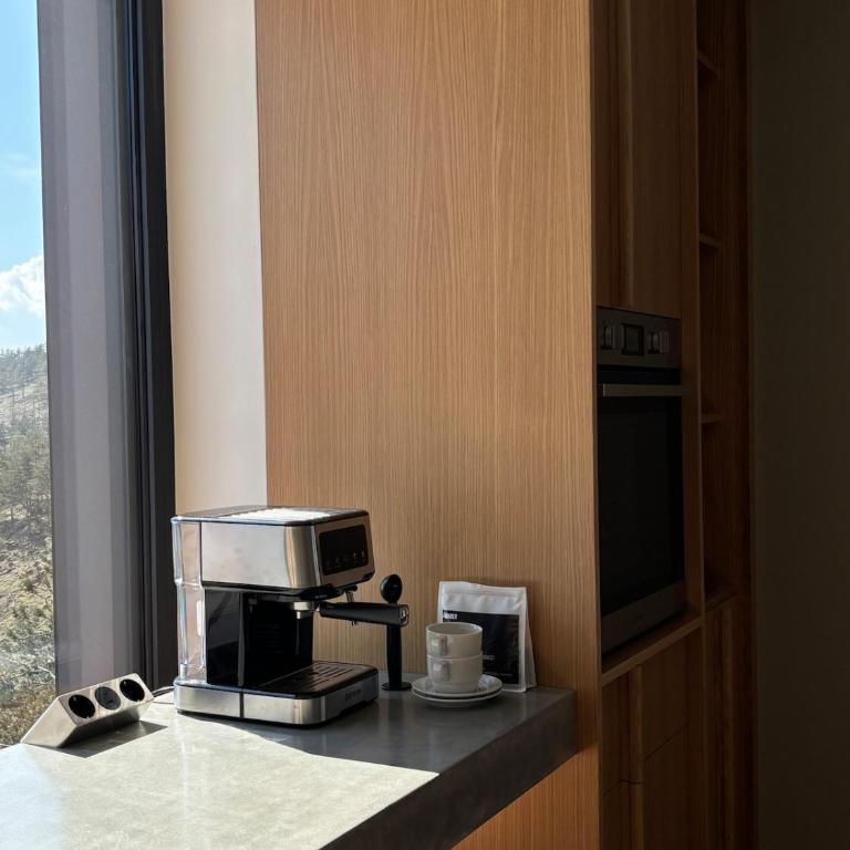 Curated Mountain Apartment Cozy & Nature Views - One-Bedroom Apartment - 13