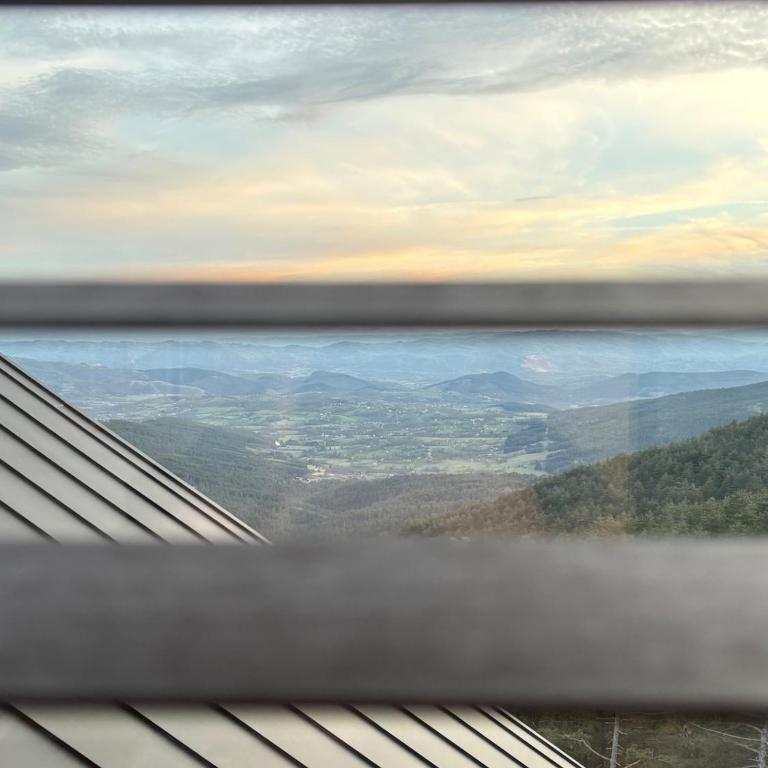 Curated Mountain Apartment Cozy & Nature Views - One-Bedroom Apartment - 24
