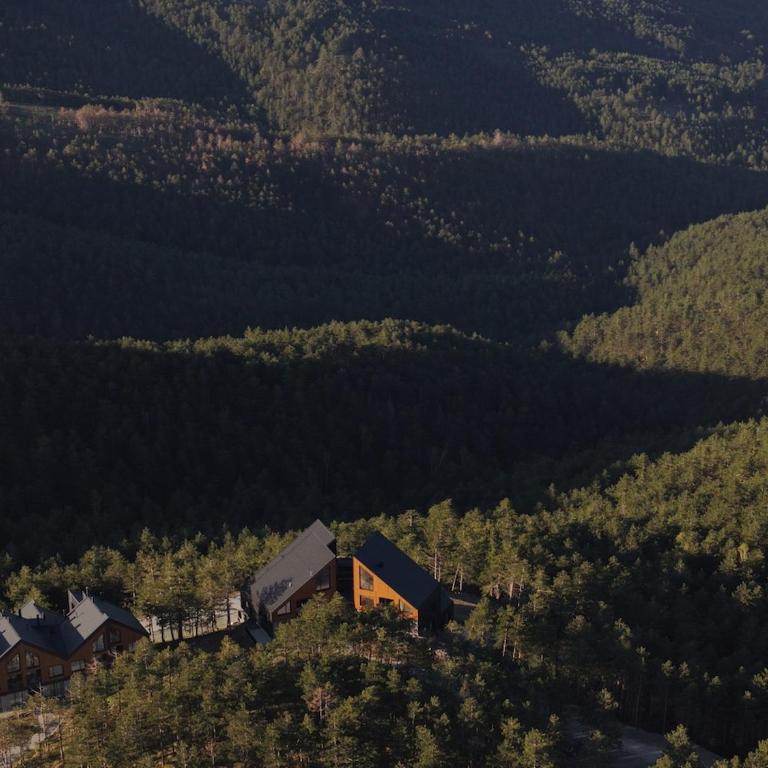 Curated Mountain Apartment Cozy & Nature Views - One-Bedroom Apartment - 25