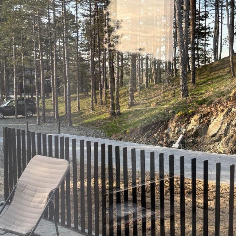 Curated Mountain Apartment Cozy & Nature Views - One-Bedroom Apartment - 39
