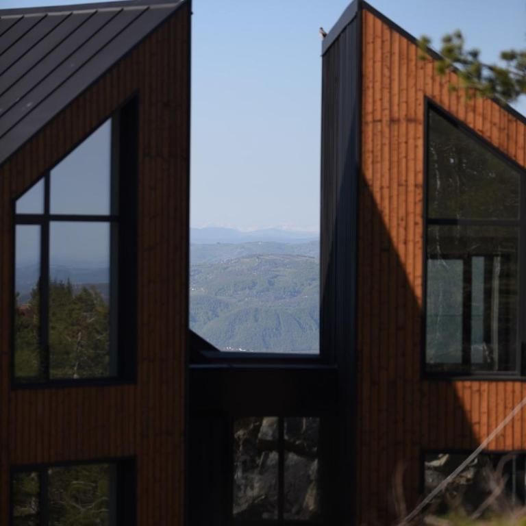 Curated Mountain Apartment Cozy & Nature Views - One-Bedroom Apartment - 41