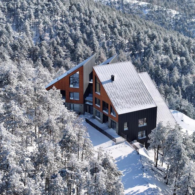 Curated Mountain Apartment Cozy & Nature Views - One-Bedroom Apartment - 55