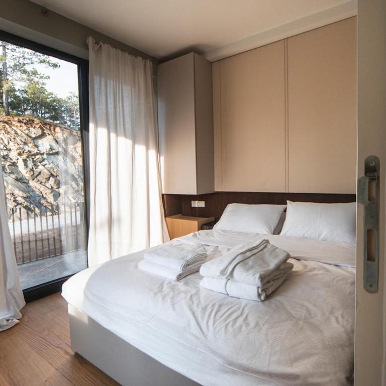 Curated Mountain Apartment Cozy & Nature Views - One-Bedroom Apartment - 62
