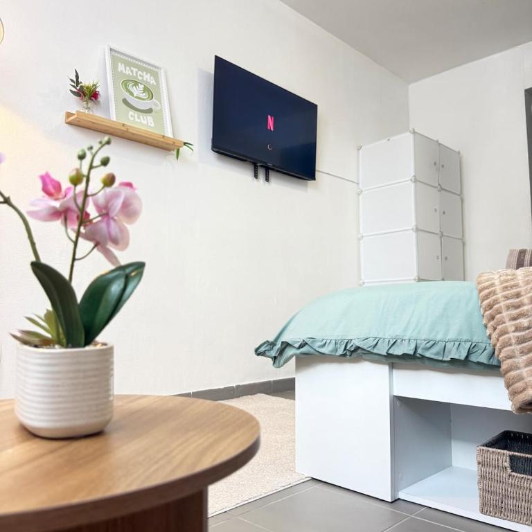 Le Jardin Secret - Studio Lumineux - Apartment mit 1 Schlafzimmer - 6