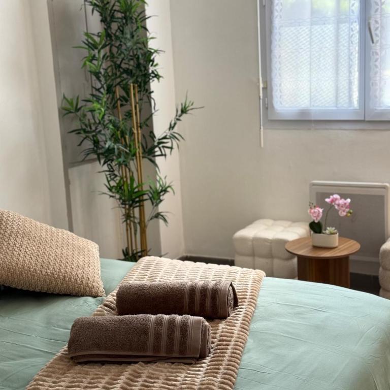 Le Jardin Secret - Studio Lumineux - Apartment mit 1 Schlafzimmer - 11
