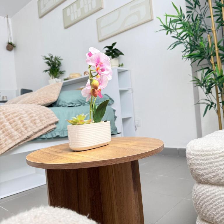 Le Jardin Secret - Studio Lumineux - Apartment mit 1 Schlafzimmer - 3