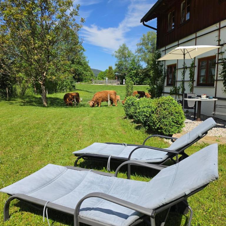 Ödmühle - Chiemgau Karte - Apartment mit 1 Schlafzimmer - 12
