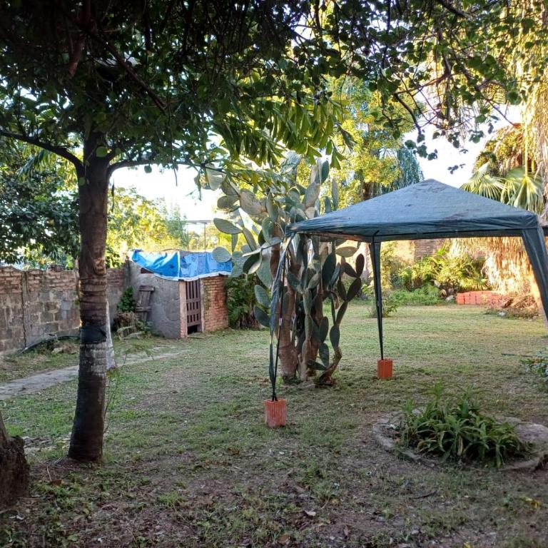 La Casa de los Pájaros - One-Bedroom Villa - 4