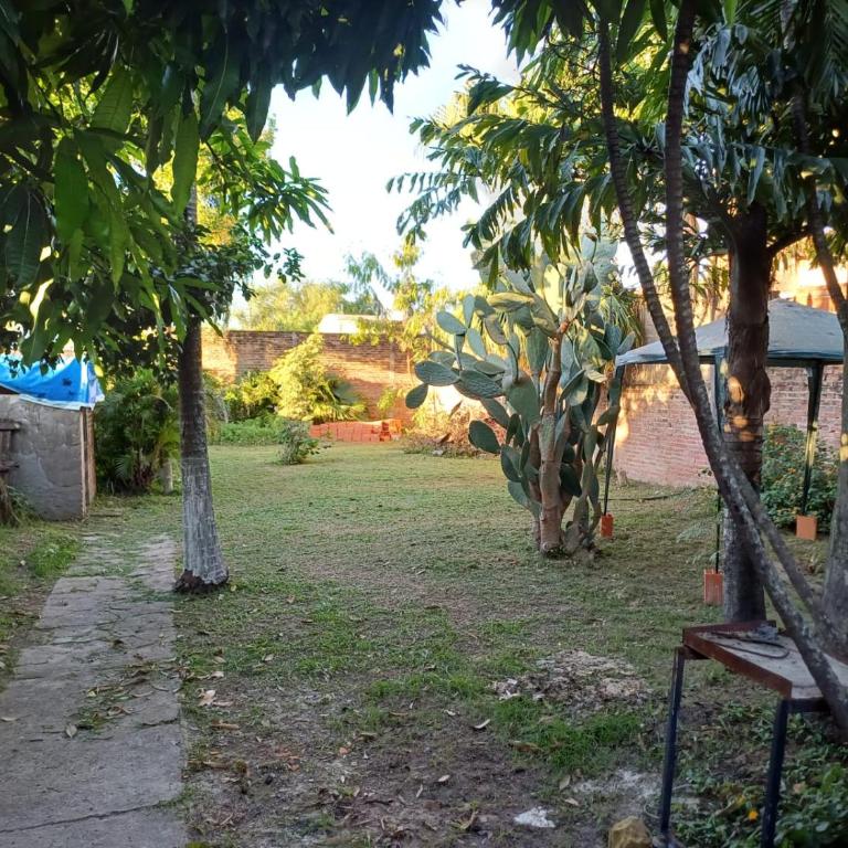 La Casa de los Pájaros - One-Bedroom Villa - 7