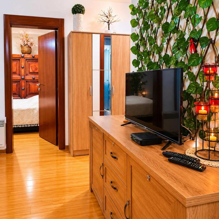 San - Appartement 1 Chambre - 3