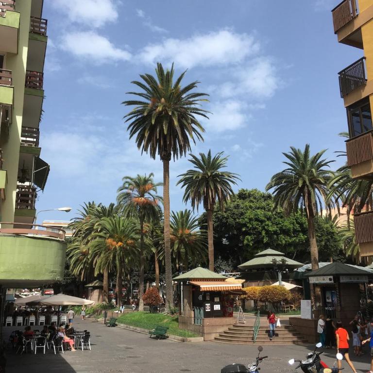 Plaza del Charco, Apartment with Pool, fast Wi-Fi and Views - Apartamento de 1 dormitorio - 18