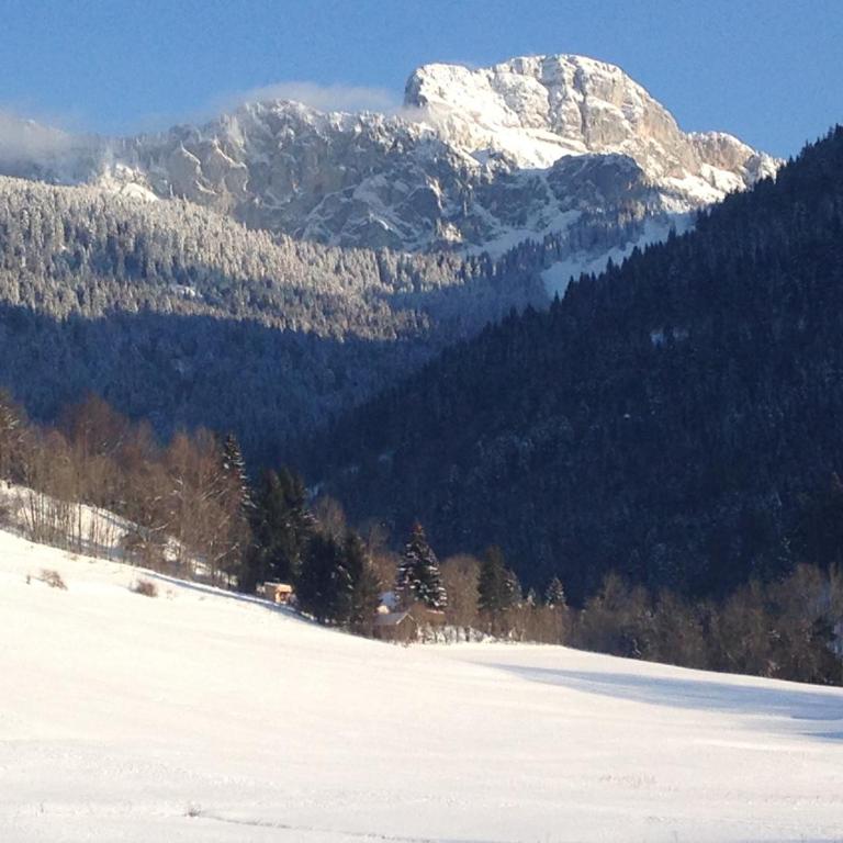 Chalet Eterlou - Appartement avec Vue sur la Montagne - 19