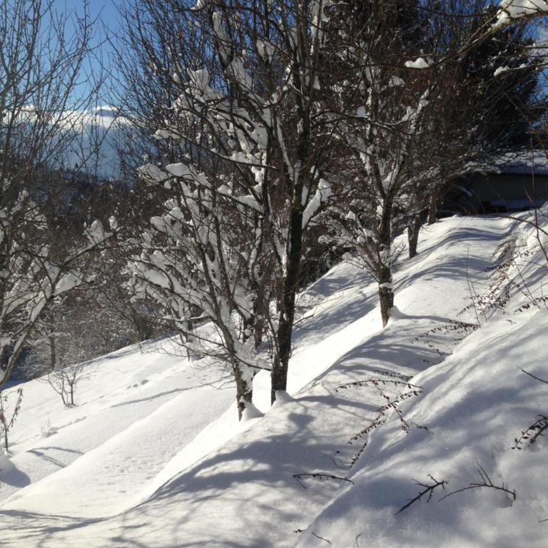 Chalet Eterlou - Appartement avec Vue sur la Montagne - 20