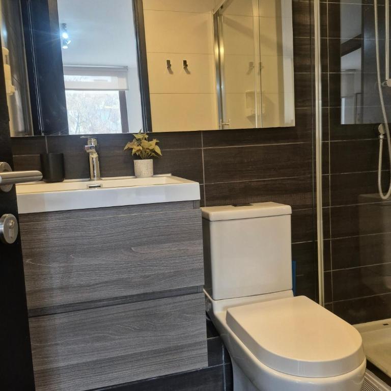 Oasis in Santiago, free parking, pool and gym - Apartamento Deluxe de 1 dormitorio - 15