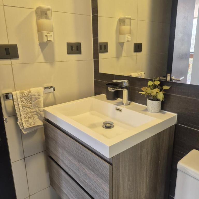 Oasis in Santiago, free parking, pool and gym - Apartamento Deluxe de 1 dormitorio - 4