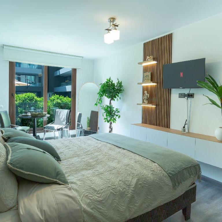 Oasis in Santiago, free parking, pool and gym - Apartamento Deluxe de 1 dormitorio - 5