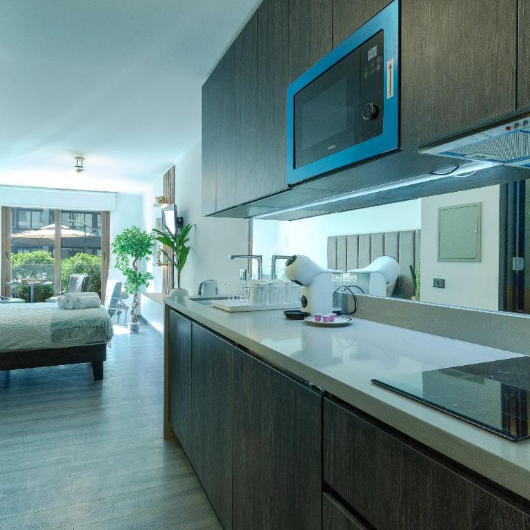Oasis in Santiago, free parking, pool and gym - Apartamento Deluxe de 1 dormitorio - 12