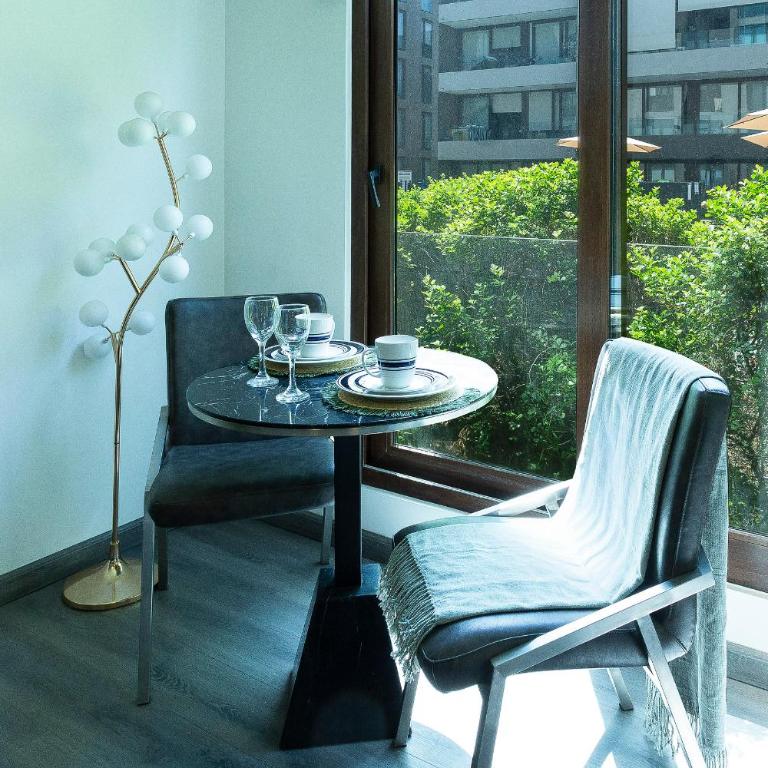 Oasis in Santiago, free parking, pool and gym - Apartamento Deluxe de 1 dormitorio - 22