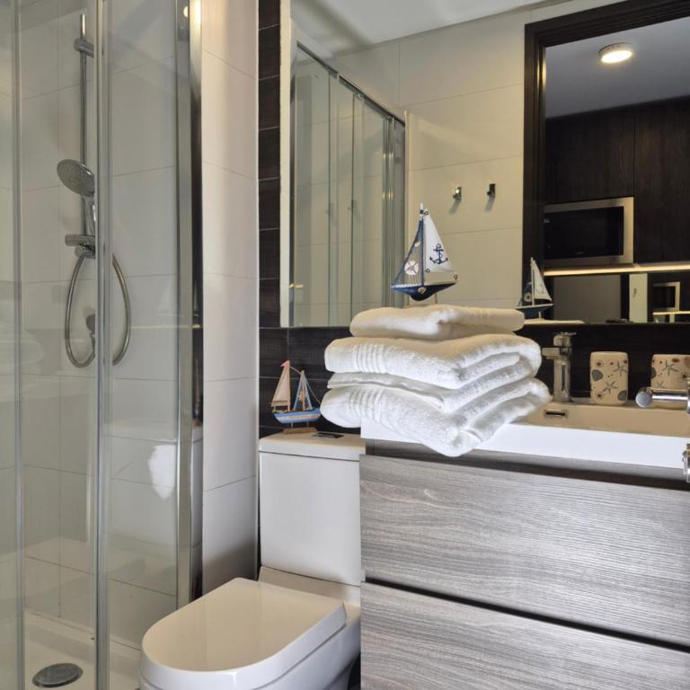 Oasis in Santiago, free parking, pool and gym - Apartamento Deluxe de 1 dormitorio - 7