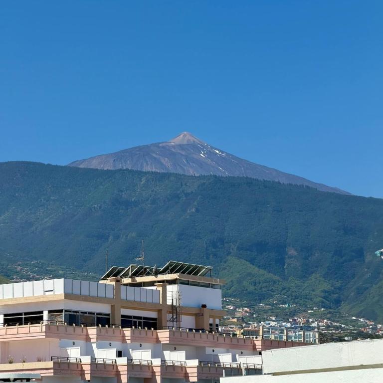 Best Location Plaza del Charco, Pool and Views and strong Wi-Fi - Apartamento de 1 dormitorio - 24