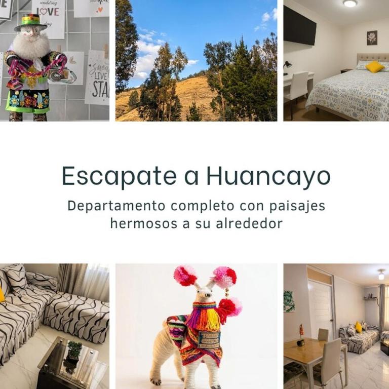 Apartment surrounded by nature in Huancayo - Apartamento de 2 dormitorios - 24