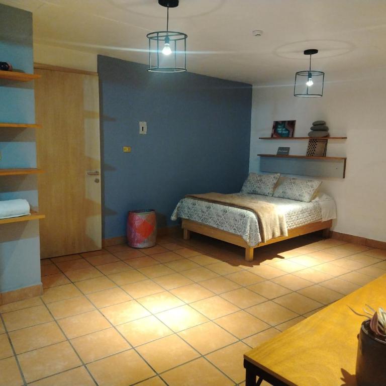 Edificio Abrazo - Apartamento de 1 dormitorio - 2