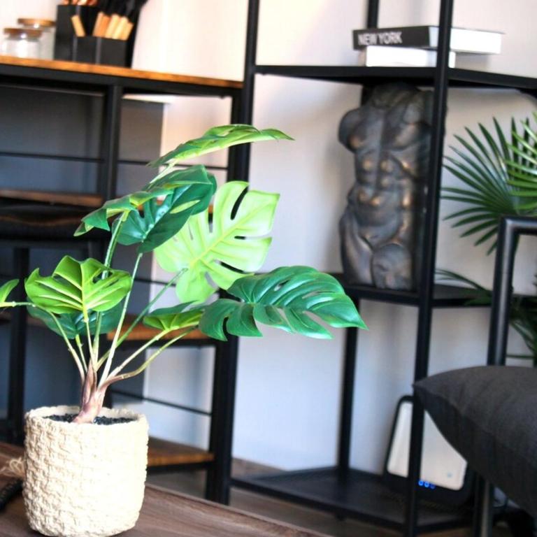 Depto Elegante con Balcón Centro Santiago - Apartamento de 1 dormitorio - 25