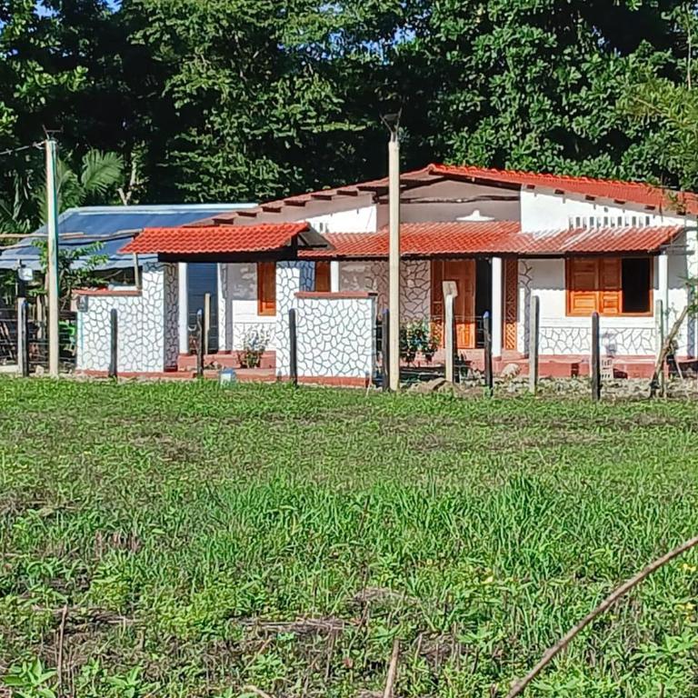 Cabaña El Edén Capurgana - Casa de 2 dormitorios - 18