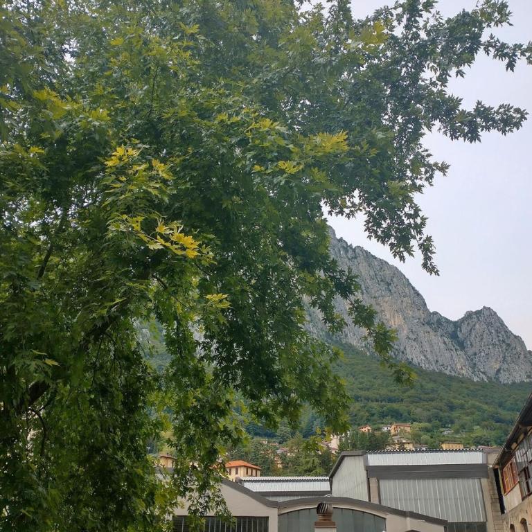 Maple Creek Lecco - Appartamento con 2 Camere da Letto - 8