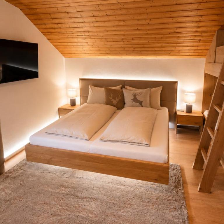 Michelis Cottage - Achensee - Appartamento Attico - 10