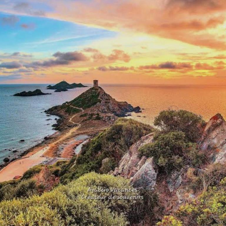 AJACCIO les iles sanguinaires - Appartement 1 Chambre - 2