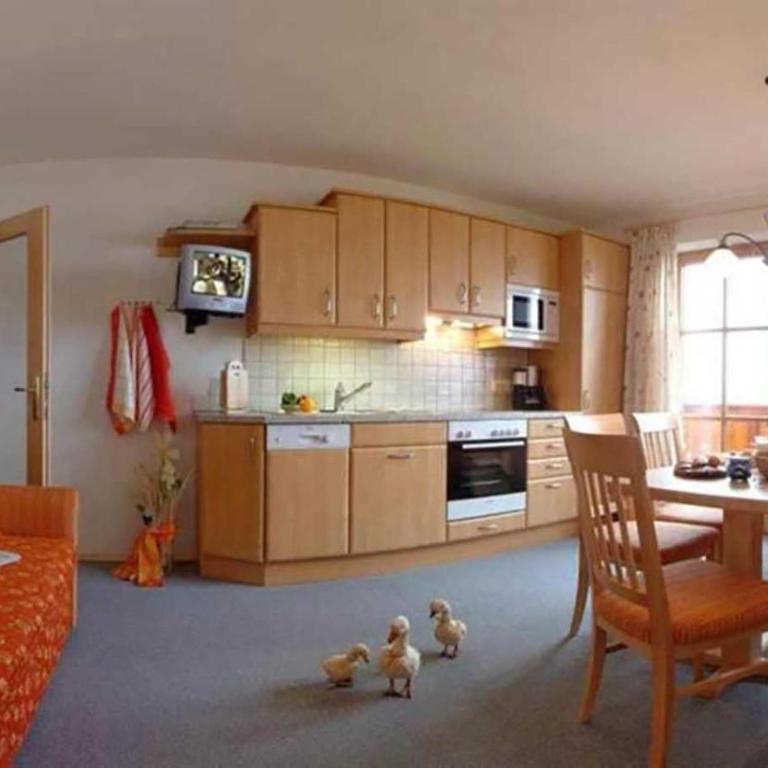 Präau-Gut - Apartment mit 1 Schlafzimmer und Dusche - 4