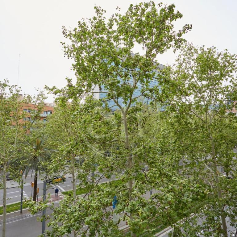 Bright Barcelona Apartment Near Glòries - Apartamento de 3 dormitorios - 26