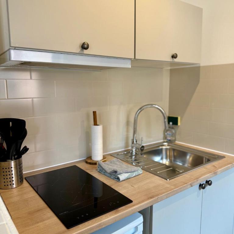 Studio au cœur de Lourdes - Monolocale con Divano-Letto - 7
