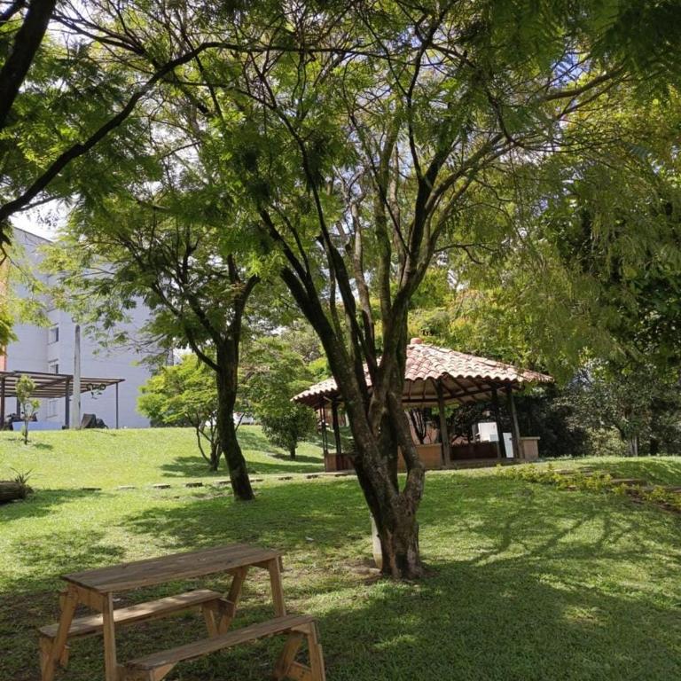 Colina campestre 164 - Apartamento de 2 dormitorios - 9