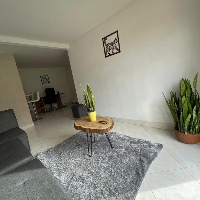 Colina campestre 164 - Apartamento de 2 dormitorios - 26