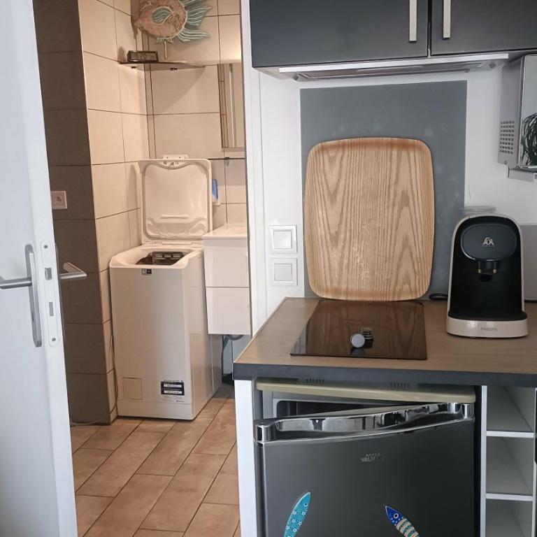 studio lumineux climatisé petit jardin et parking - Appartement 1 Chambre - 4