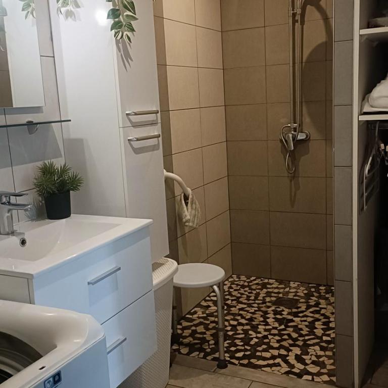 studio lumineux climatisé petit jardin et parking - Appartement 1 Chambre - 6