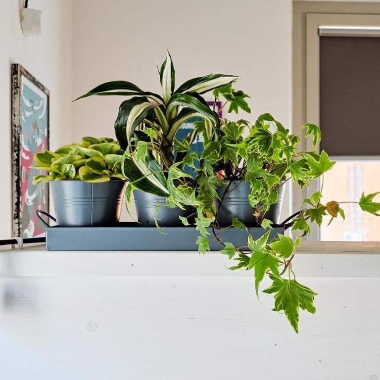 Casa Torlonia by Rentbeat - One-Bedroom Apartment - 30