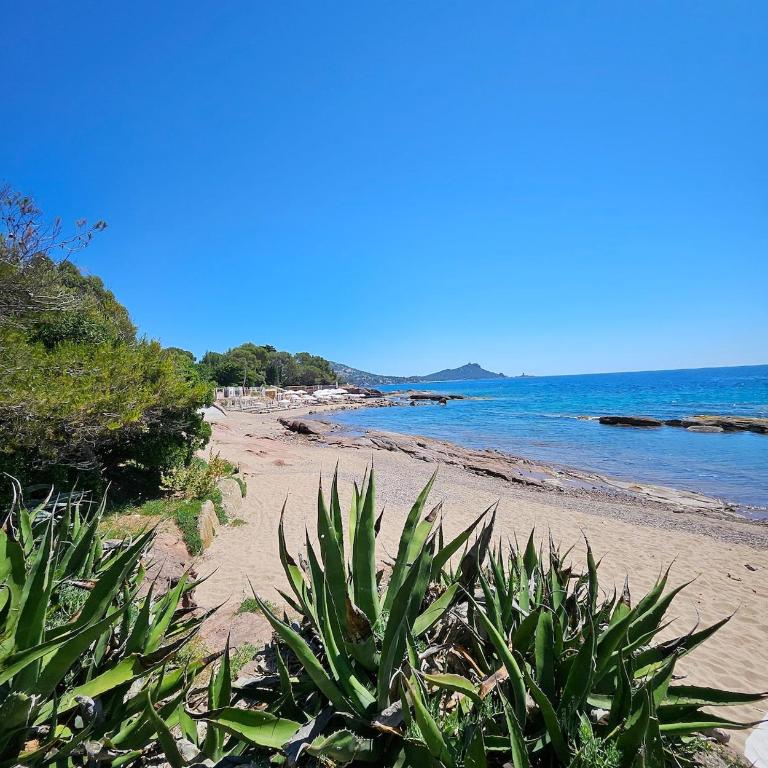 Magnifique studio à Saint Raphael à deux pas de la mer - Studio - 16
