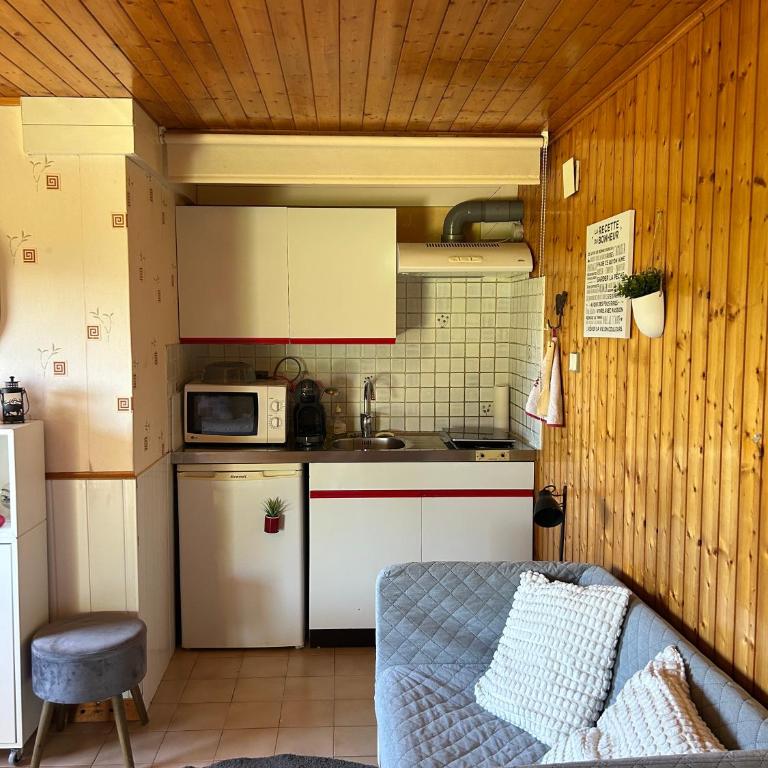 Gîtes des Petites Roches - Appartements indépendants Pravouta & Rocheplane - Studio - 3