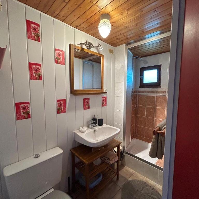 Gîtes des Petites Roches - Appartements indépendants Pravouta & Rocheplane - Appartement-Studio avec 1 Lit Double - 14
