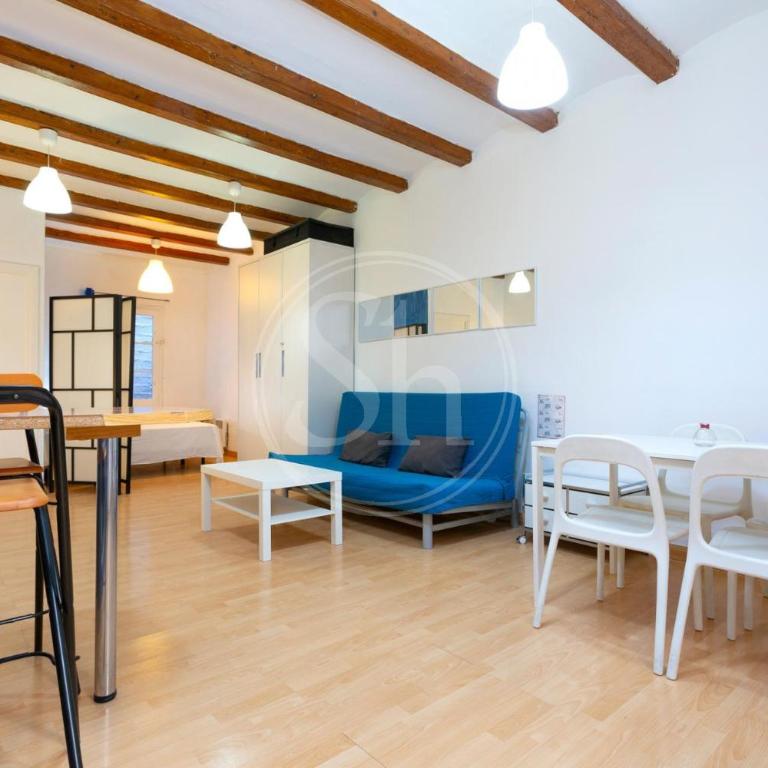 Loft en Gracià con terraza - Apartamento de 1 dormitorio - 5