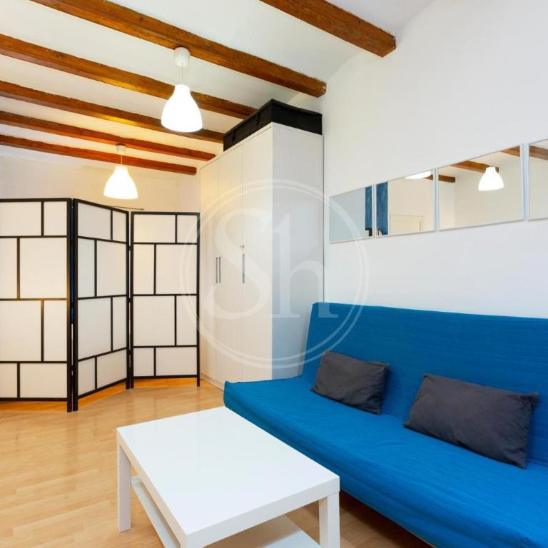 Loft en Gracià con terraza - Apartamento de 1 dormitorio - 7